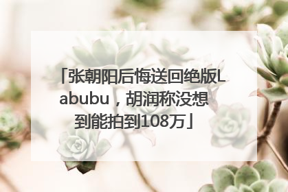 张朝阳后悔送回绝版Labubu，胡润称没想到能拍到108万