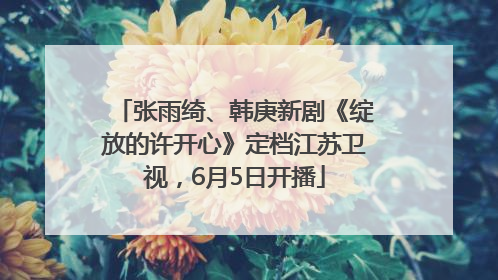 张雨绮、韩庚新剧《绽放的许开心》定档江苏卫视，6月5日开播