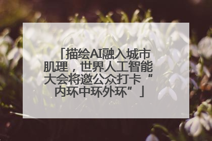 描绘AI融入城市肌理，世界人工智能大会将邀公众打卡“内环中环外环”