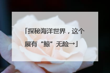 探秘海洋世界，这个展有“鲸”无险→