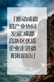 推动成德眉产业协同发展 成都高新区优质企业走进德阳和眉山