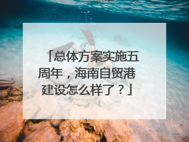 总体方案实施五周年，海南自贸港建设怎么样了？