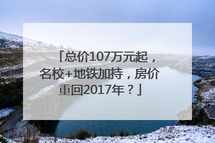总价107万元起，名校+地铁加持，房价重回2017年？