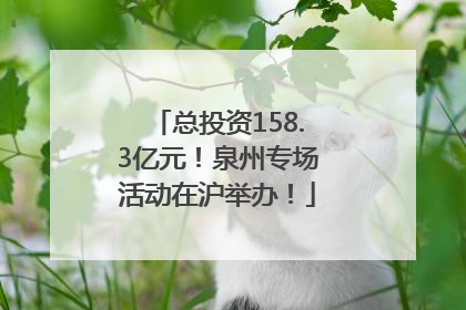 总投资158.3亿元！泉州专场活动在沪举办！