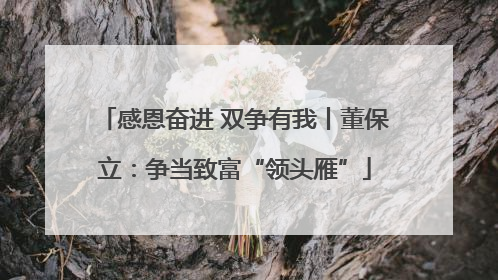 感恩奋进 双争有我丨董保立：争当致富“领头雁”