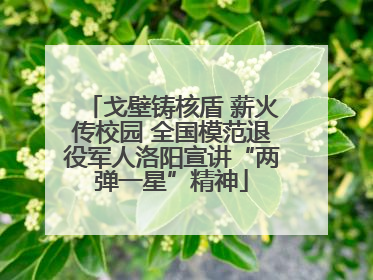 戈壁铸核盾 薪火传校园 全国模范退役军人洛阳宣讲“两弹一星”精神