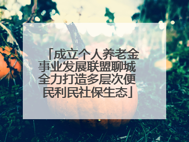成立个人养老金事业发展联盟聊城全力打造多层次便民利民社保生态