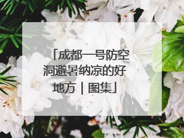 成都一号防空洞避暑纳凉的好地方｜图集