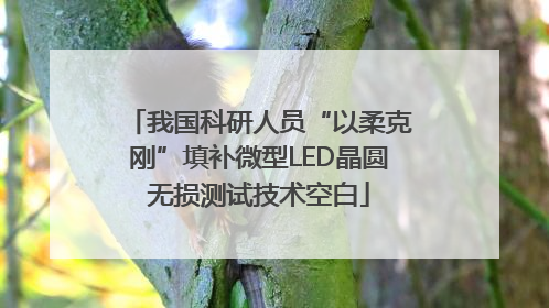 我国科研人员“以柔克刚”填补微型LED晶圆无损测试技术空白