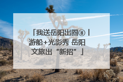 我送岳阳出圈⑧丨游船+光影秀 岳阳文旅出“新招”