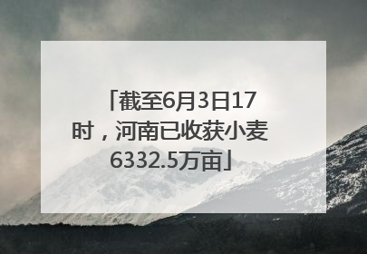 截至6月3日17时，河南已收获小麦6332.5万亩