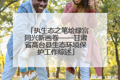 执生态之笔绘绿富同兴新画卷——甘肃省高台县生态环境保护工作综述