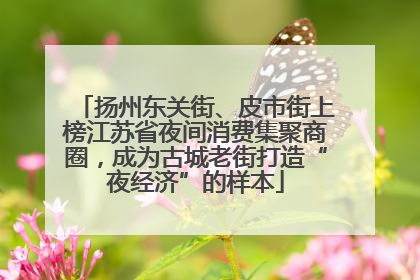 扬州东关街、皮市街上榜江苏省夜间消费集聚商圈，成为古城老街打造“夜经济”的样本