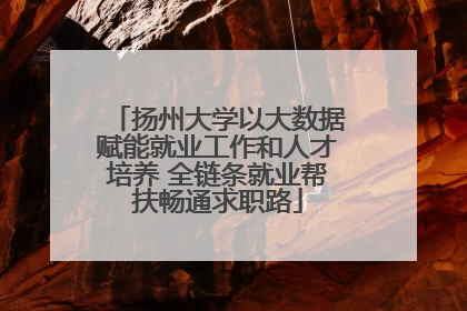 扬州大学以大数据赋能就业工作和人才培养 全链条就业帮扶畅通求职路