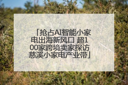 抢占AI智能小家电出海新风口 超100家跨境卖家探访慈溪小家电产业带