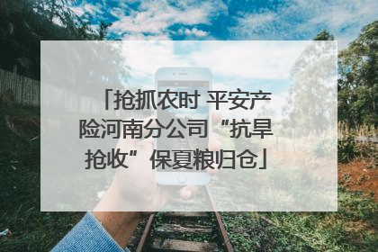 抢抓农时 平安产险河南分公司“抗旱抢收”保夏粮归仓