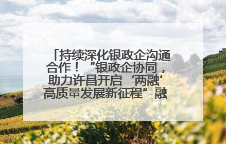 持续深化银政企沟通合作！“银政企协同，助力许昌开启‘两融’高质量发展新征程”融资对接会举行