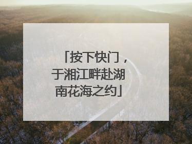 按下快门，于湘江畔赴湖南花海之约