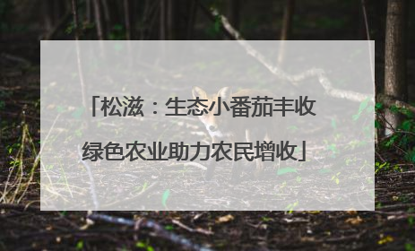 松滋：生态小番茄丰收 绿色农业助力农民增收