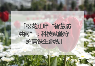 松花江畔“智慧防洪网”：科技赋能守护高铁生命线