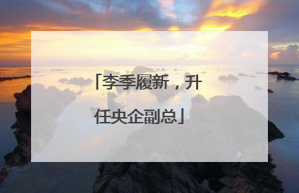 李季履新，升任央企副总