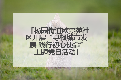 杨园街道欧景苑社区开展“寻根城市发展 践行初心使命”主题党日活动