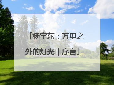 杨宇东：万里之外的灯光｜序言