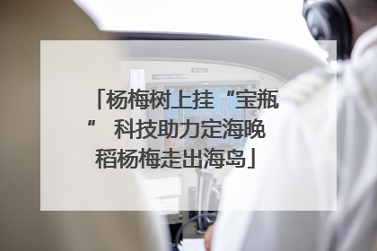 杨梅树上挂“宝瓶” 科技助力定海晚稻杨梅走出海岛