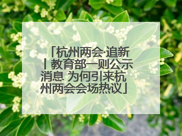 杭州两会·追新丨教育部一则公示消息 为何引来杭州两会会场热议