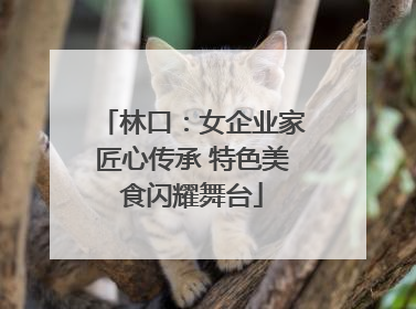 林口：女企业家匠心传承 特色美食闪耀舞台