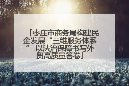 枣庄市商务局构建民企发展“三维服务体系” 以法治保障书写外贸高质量答卷