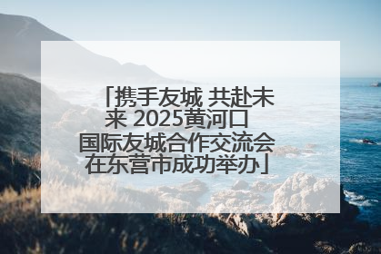 携手友城 共赴未来 2025黄河口国际友城合作交流会在东营市成功举办