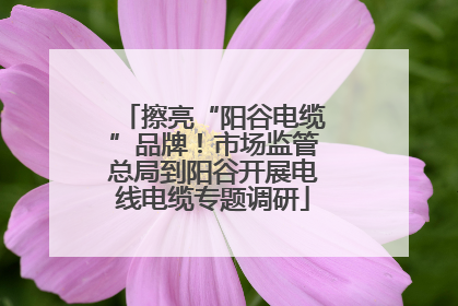 擦亮“阳谷电缆”品牌！市场监管总局到阳谷开展电线电缆专题调研