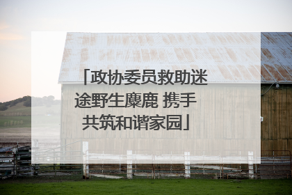 政协委员救助迷途野生麋鹿 携手共筑和谐家园