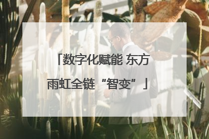 数字化赋能 东方雨虹全链“智变”