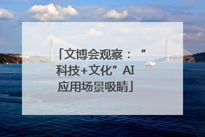 文博会观察：“科技+文化”AI应用场景吸睛