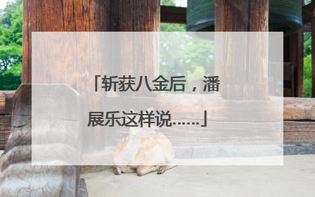 斩获八金后，潘展乐这样说……