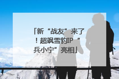 新“战友”来了！超飒雪豹IP“兵小宁”亮相