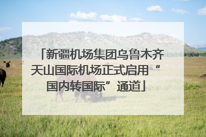 新疆机场集团乌鲁木齐天山国际机场正式启用“国内转国际”通道