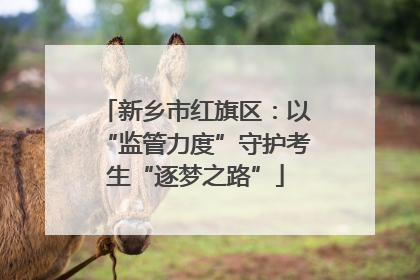 新乡市红旗区：以“监管力度”守护考生“逐梦之路”