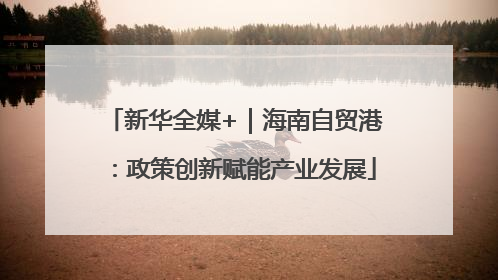 新华全媒+｜海南自贸港：政策创新赋能产业发展