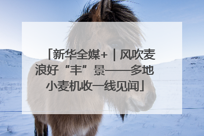新华全媒+｜风吹麦浪好“丰”景——多地小麦机收一线见闻