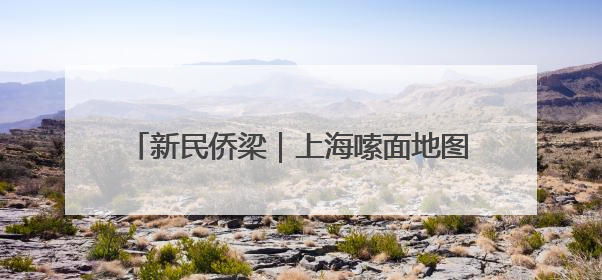 新民侨梁｜上海嗦面地图：一筷子夹起多国风味
