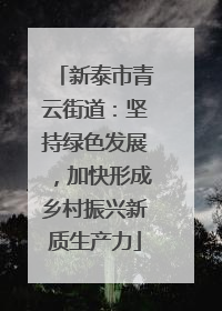 新泰市青云街道：坚持绿色发展，加快形成乡村振兴新质生产力