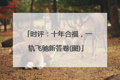 时评：十年合福，一轨飞驰新答卷(图)