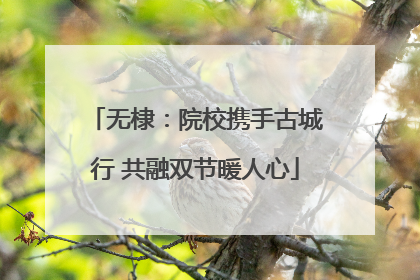无棣：院校携手古城行 共融双节暖人心