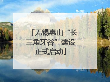 无锡惠山“长三角牙谷”建设正式启动