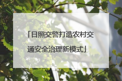 日照交警打造农村交通安全治理新模式