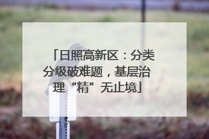 日照高新区：分类分级破难题，基层治理“精”无止境