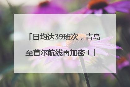 日均达39班次，青岛至首尔航线再加密！